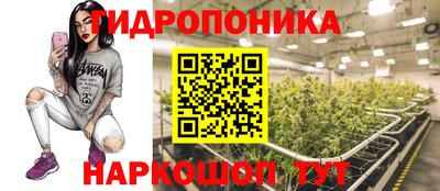 прущий лед Нальчик