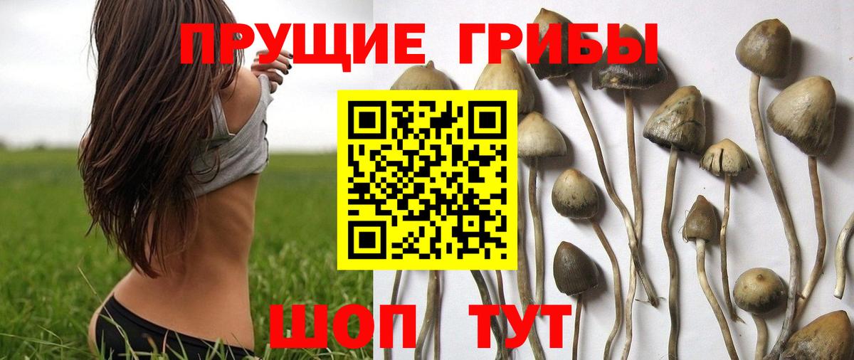 Галлюциногенные грибы ЛСД  Вход с VPN  Шахты  Псилоцибиновые грибы мицелий 