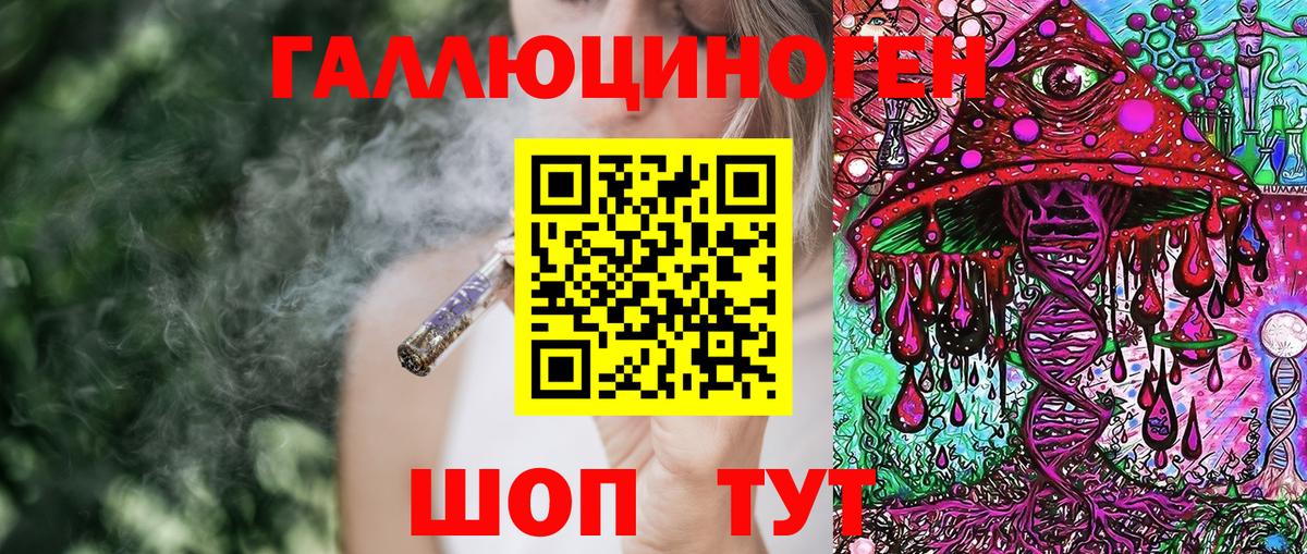 Псилоцибиновые грибы мухоморы Шахты